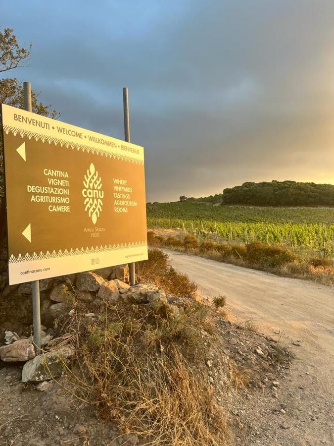 Вилла Cantina&Agriturismo Canu Луогозанто Экстерьер фото
